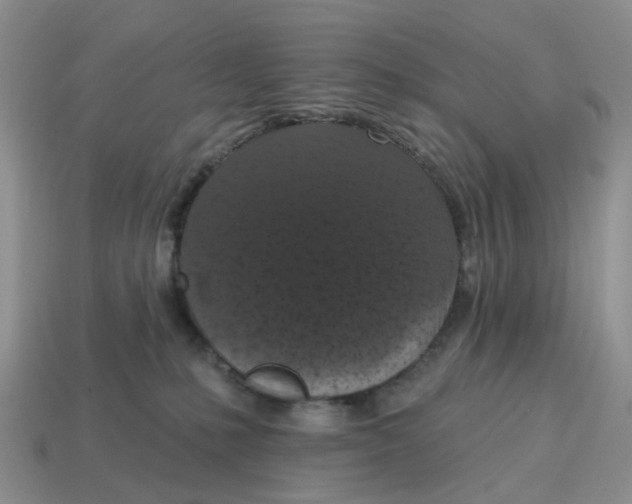 X0000114580231200911091242