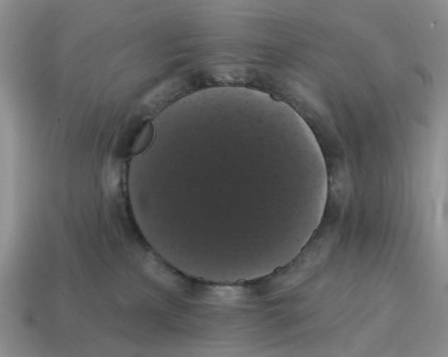 X0000114580233200911091242