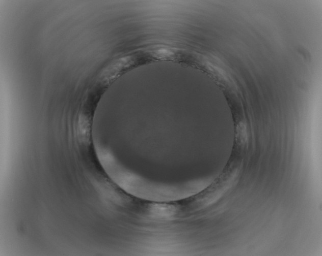 X0000114580234200911091242