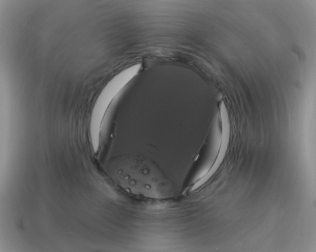 X0000114580235200911091242