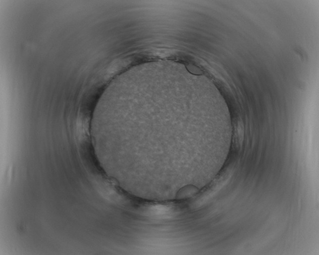 X0000114580236200911091242