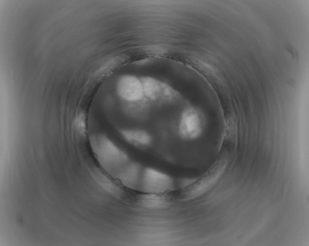 X0000114580238200911091242