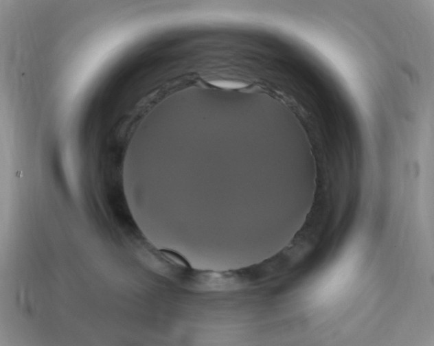 X0000114580239200911091242