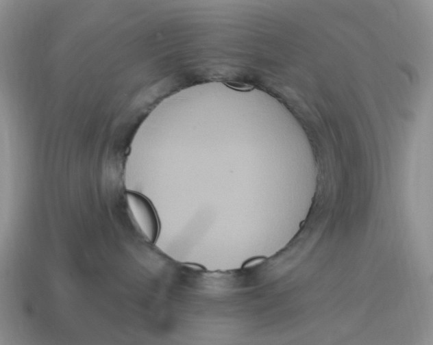 X0000114580240200911091242