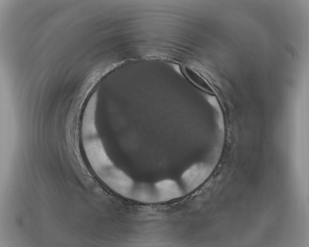 X0000114580241200911091242