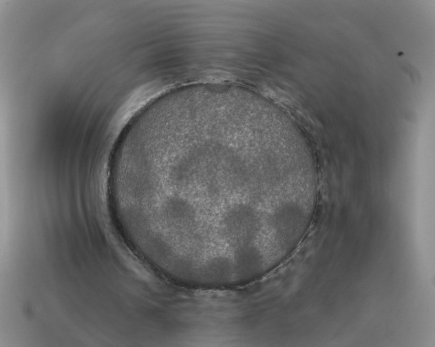 X0000114580242200911091242