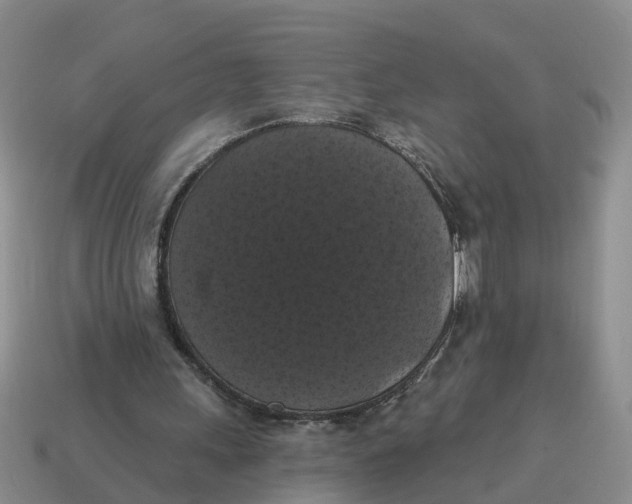 X0000114580243200911091242