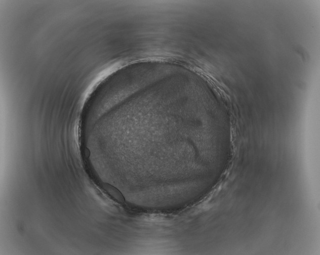 X0000114580244200911091242