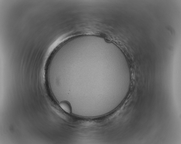 X0000114580246200911091242