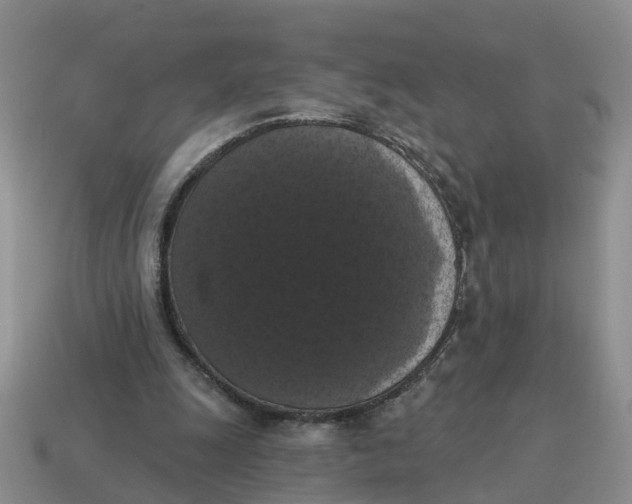 X0000114580247200911091242