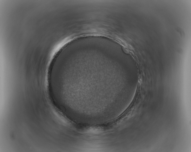 X0000114580248200911091242