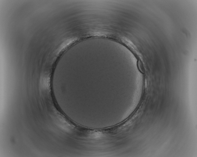 X0000114580249200911091242