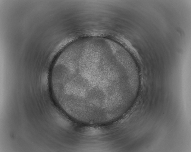 X0000114580250200911091242