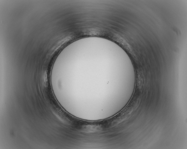 X0000114580251200911091242