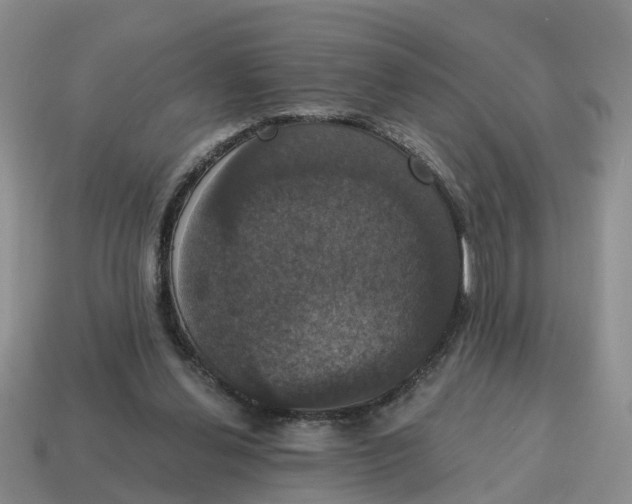 X0000114580252200911091242