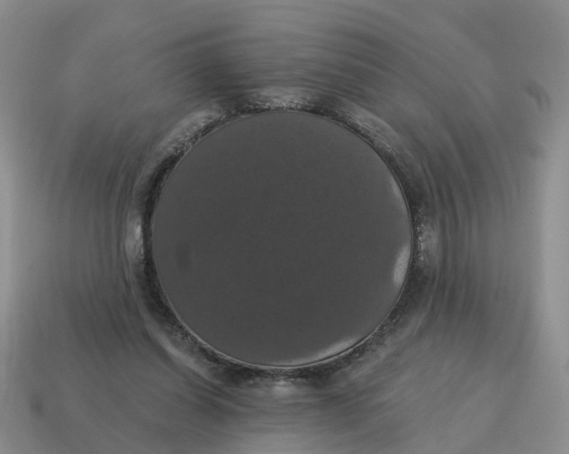 X0000114580254200911091242