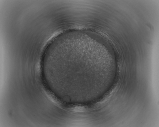 X0000114580256200911091242