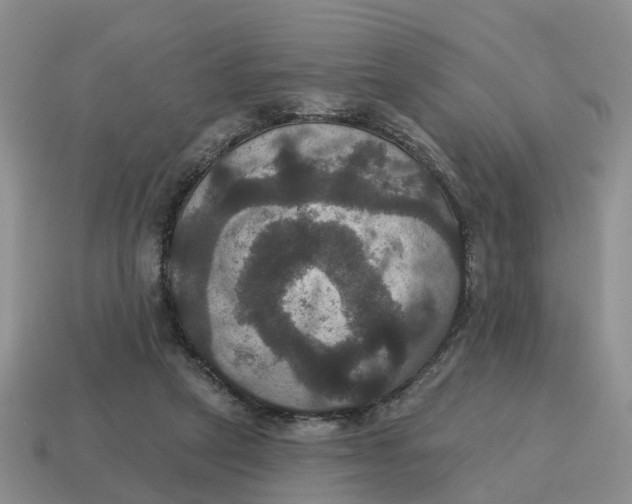 X0000114580257200911091242