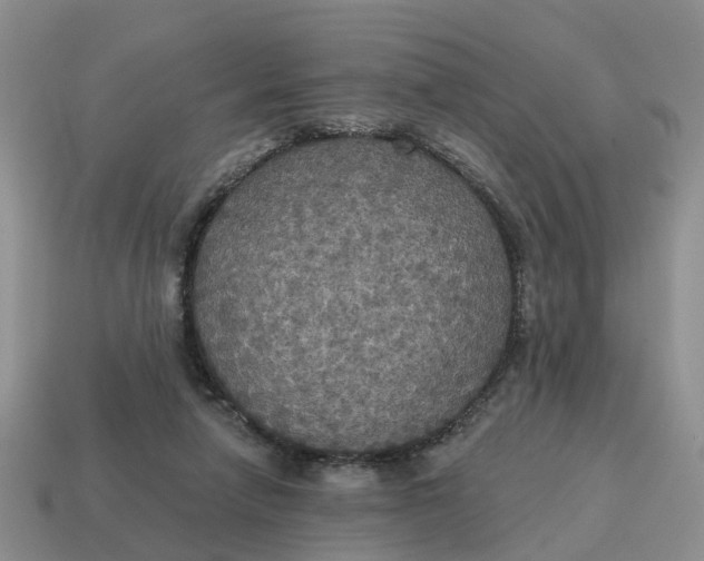 X0000114580258200911091242