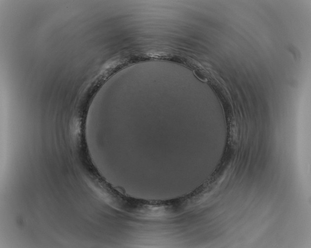 X0000114580260200911091242