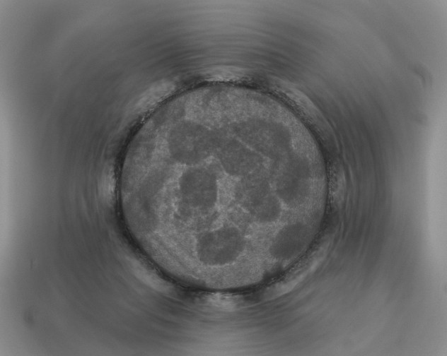 X0000114580261200911091242