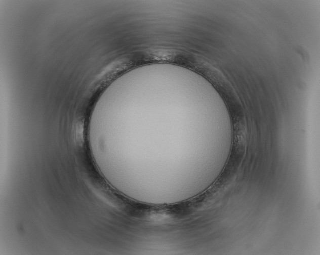 X0000114580262200911091242