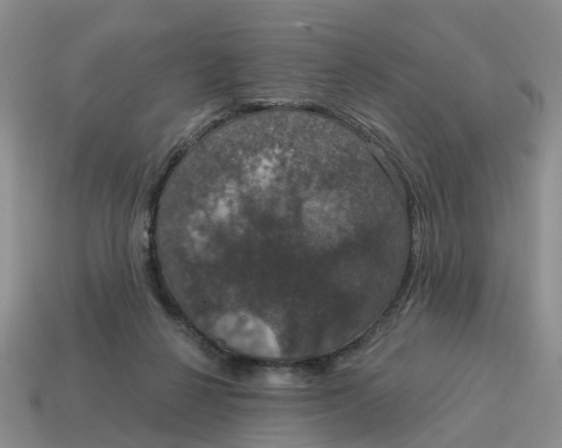 X0000114580264200911091242