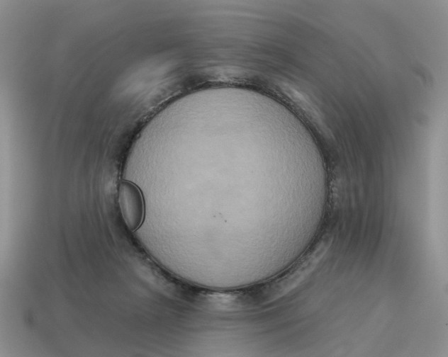 X0000114580265200911091242