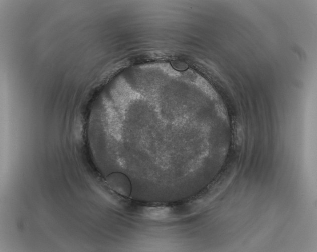 X0000114580266200911091242