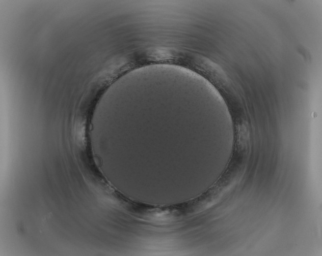 X0000114580267200911091242