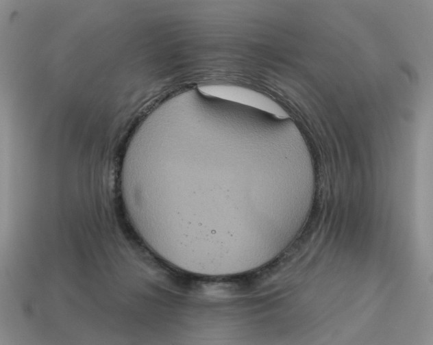 X0000114580268200911091242