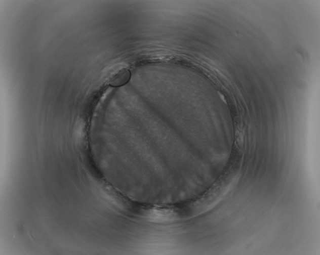 X0000114580270200911091242