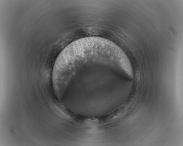 X0000114580271200911091242