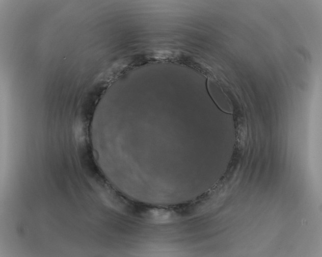 X0000114580272200911091242