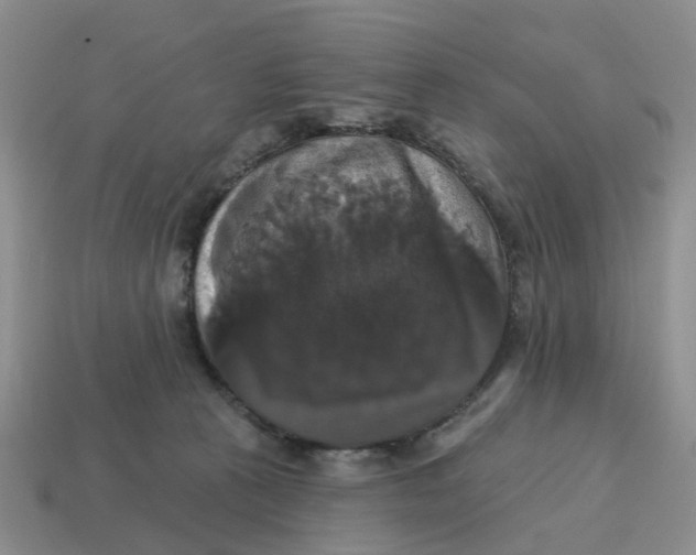 X0000114580273200911091242