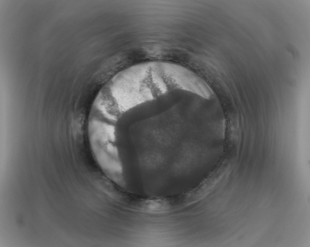 X0000114580275200911091242