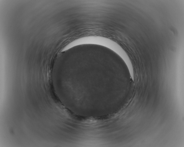 X0000114580276200911091242