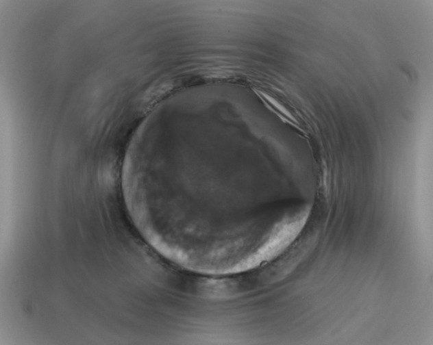 X0000114580277200911091242