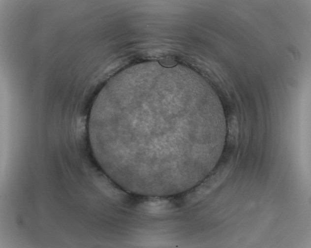 X0000114580278200911091242