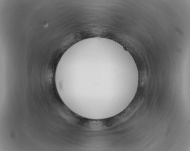 X0000114580279200911091242