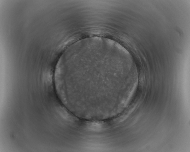 X0000114580282200911091242