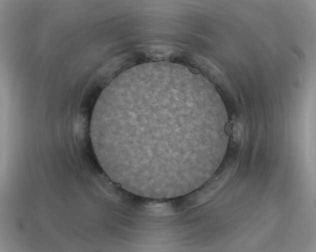 X0000114580283200911091242