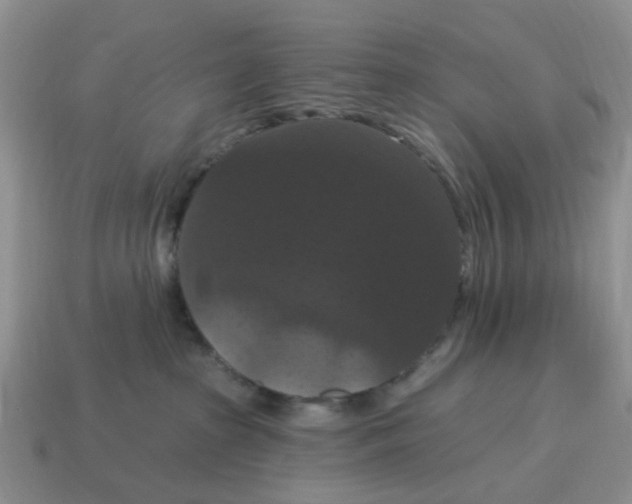 X0000114580285200911091242