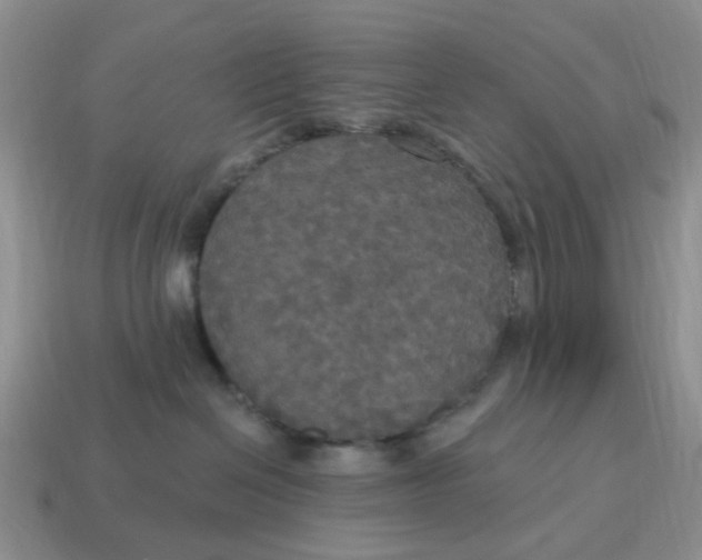 X0000114580286200911091242