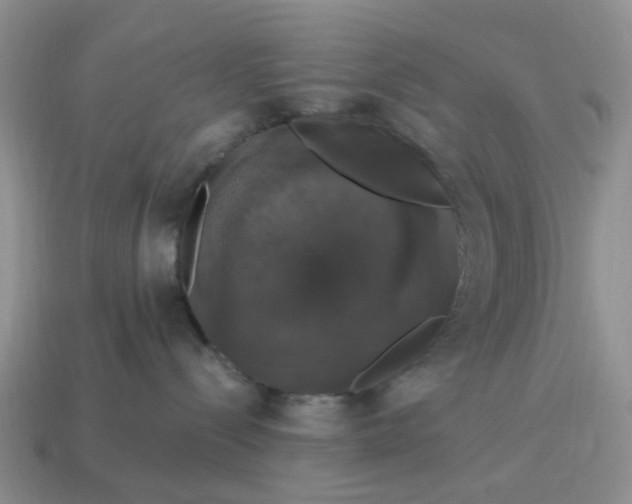 X0000114580288200911091242