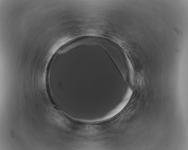 X0000114580292200911091241