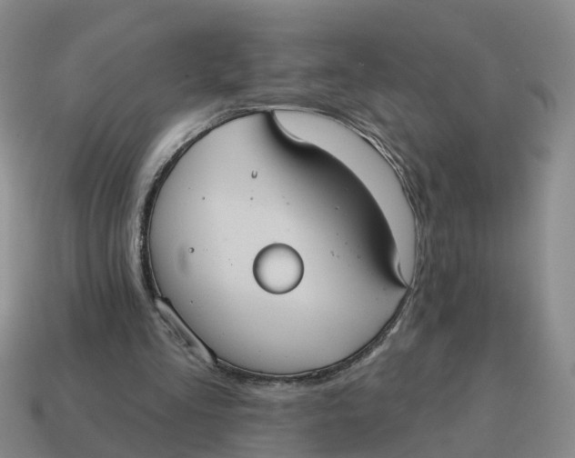 X0000114580293200911091241