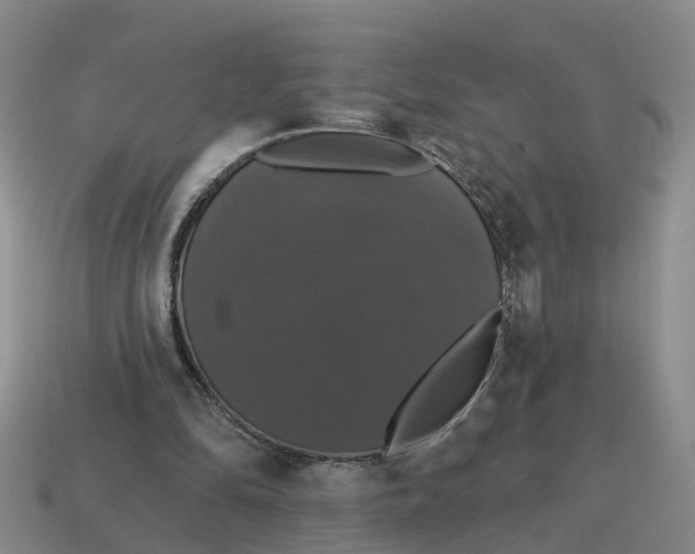 X0000114580294200911091241