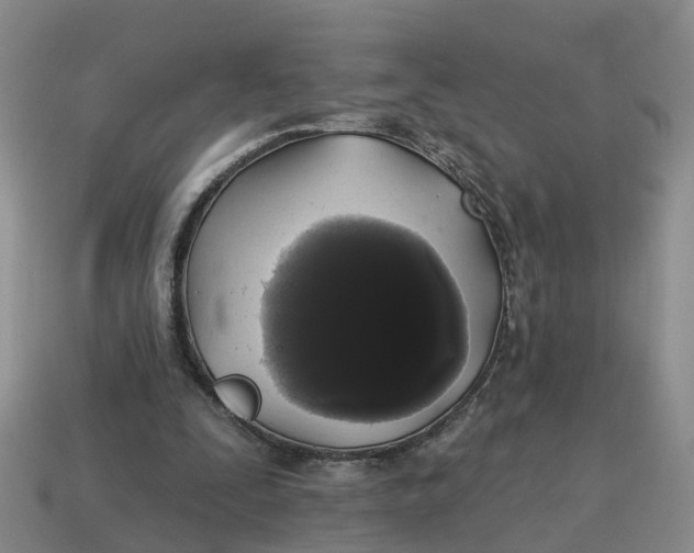 X0000114580295200911091241