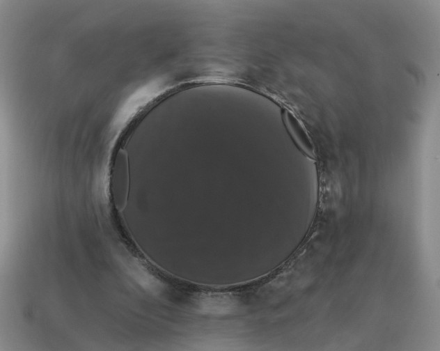 X0000114580296200911091241